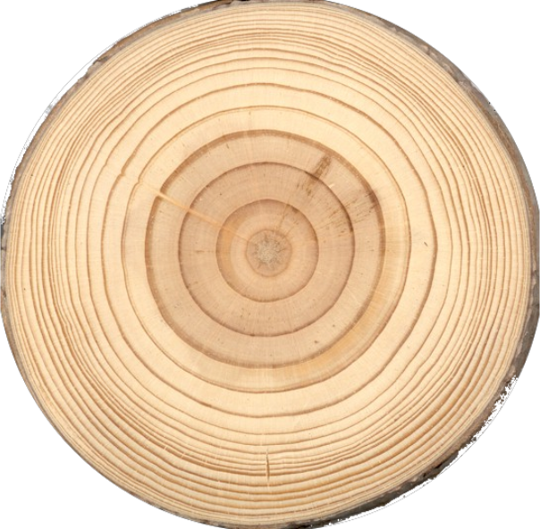 Tronco de madera